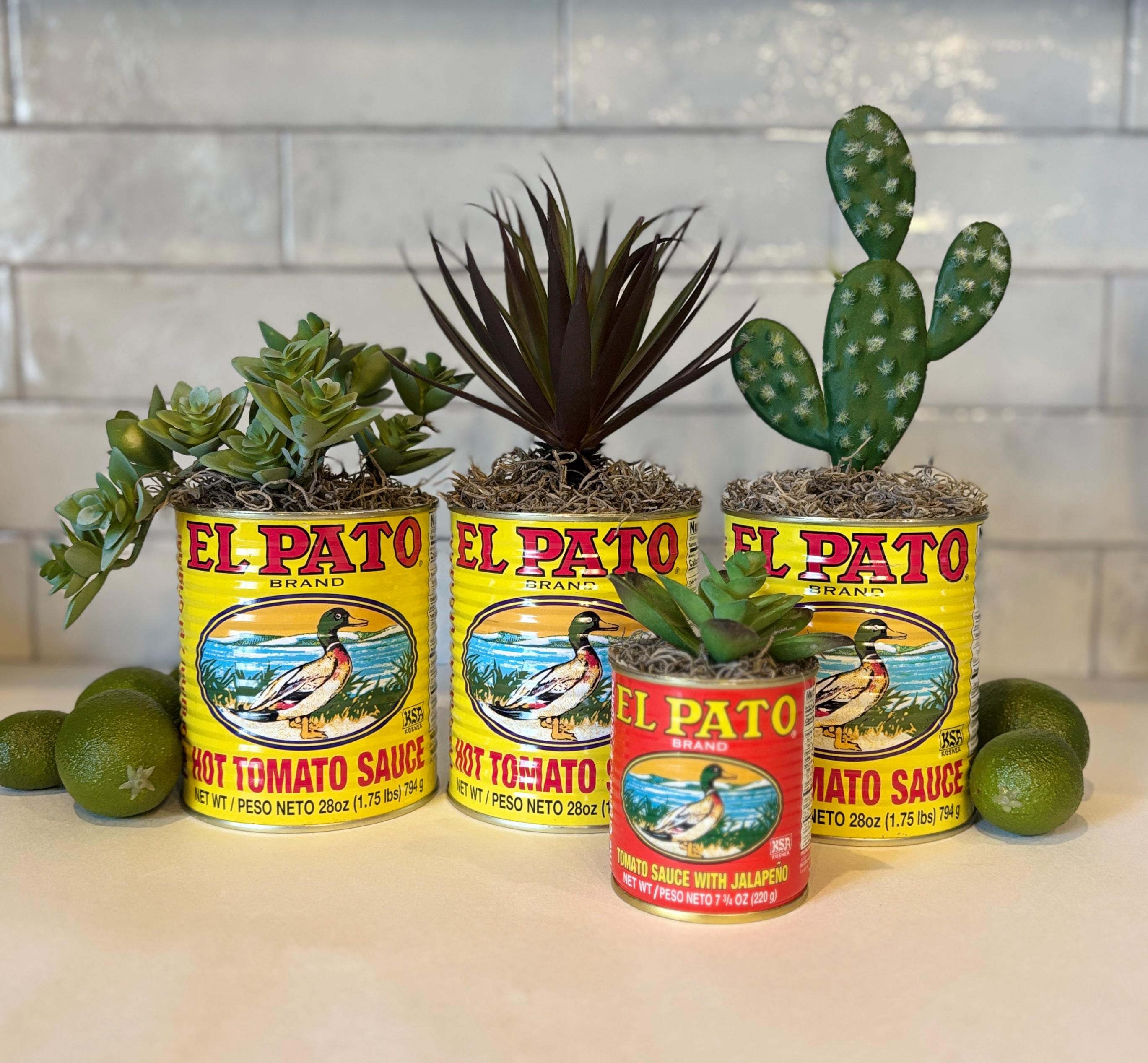 Succulent, Faux Cactus in El Pato Sauce Can: Mexican Food Themed Party  Decor - Etsy