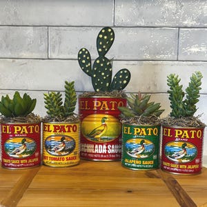 May include: Five repurposed El Pato brand sauce cans, each holding a different succulent plant. The cans are red, yellow, and green, with a duck logo and text. The plants include a cactus and various succulents.