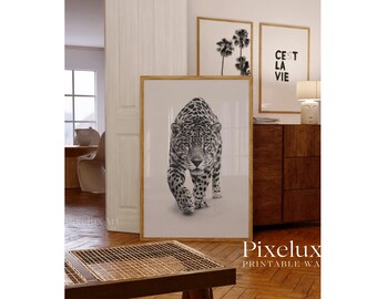 Black and White Wall Art Set of 6 – Fashion Wall Art, Leopard, Skateboard Poster, Trendy Aesthetic Y2K Apartment Print,  Funky Art, image 5