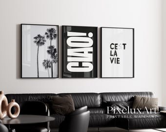 Black and White Wall Art Set of 6 – Fashion Wall Art, Leopard, Skateboard Poster, Trendy Aesthetic Y2K Apartment Print,  Funky Art, image 7