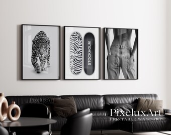 Black and White Wall Art Set of 6 – Fashion Wall Art, Leopard, Skateboard Poster, Trendy Aesthetic Y2K Apartment Print,  Funky Art, image 6