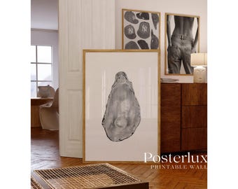 Stockholm Style Black and White Seashell Wall Art, Stockholm Aesthetic Oyster Print, Scandinavian Chic Apartment Decor, Stylish Y2K Wall Art, image 5