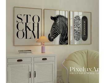 Zebra Black and White Fashion Wall Art Set – Stockholm Aesthetic Print, Cool Y2K Collage Prints, Zebra Stylish Chic Apartment Decor, image 3