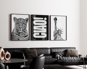 Black and White Fashion Wall Art Set of 6 - Modern Gallery Wall Prints, Stylish Y2K Stockholm, Leopard, Statue of Liberty Apartment Decor, image 7