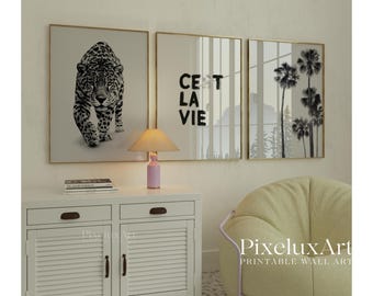 Black and White Wall Art Set of 6 – Fashion Wall Art, Leopard, Skateboard Poster, Trendy Aesthetic Y2K Apartment Print,  Funky Art, image 3