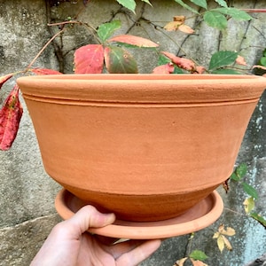 Peut inclure: Un pot de fleurs en terre cuite large et peu profond avec une soucoupe circulaire assortie. Le pot présente une finition mate et lisse dans une couleur argileuse brun-rouge naturelle, avec un rebord supérieur orné d'une fine moulure.