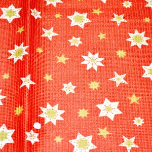 Puede incluir: Una tela de color rojo vibrante con un patrón repetitivo de estrellas blancas y verde claro. El material presenta una textura de cuadrícula distintiva en toda su superficie, con estrellas blancas grandes acentuadas por estrellas verdes más pequeñas.