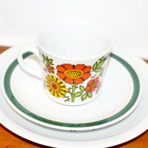 Geschirr orange 70er