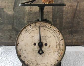 Fabulous Antique Columbia Family Scale by  Landers Frary and Clark, Rustic, Beautiful Teal Color