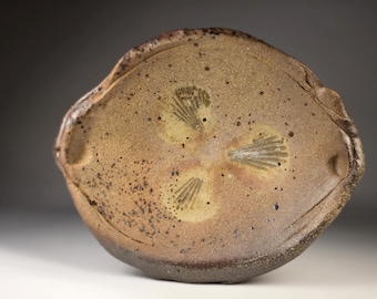 Bandeja con impresiones de conchas marinas