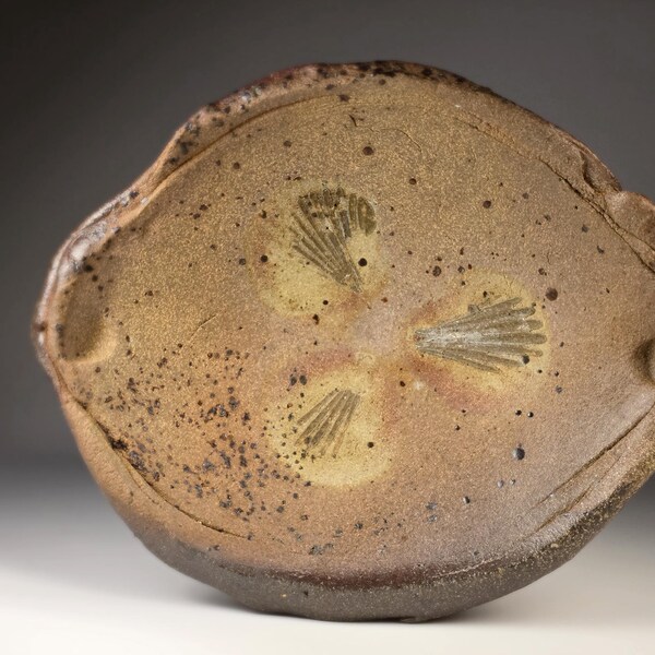 Tray with Seashell Impressions