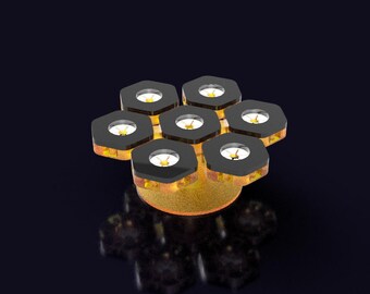 The Polyp Pros - Small Stand Set