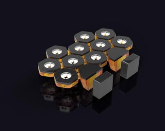 The Polyp Pros - Frag Rack Double Bay + 10 Pucks
