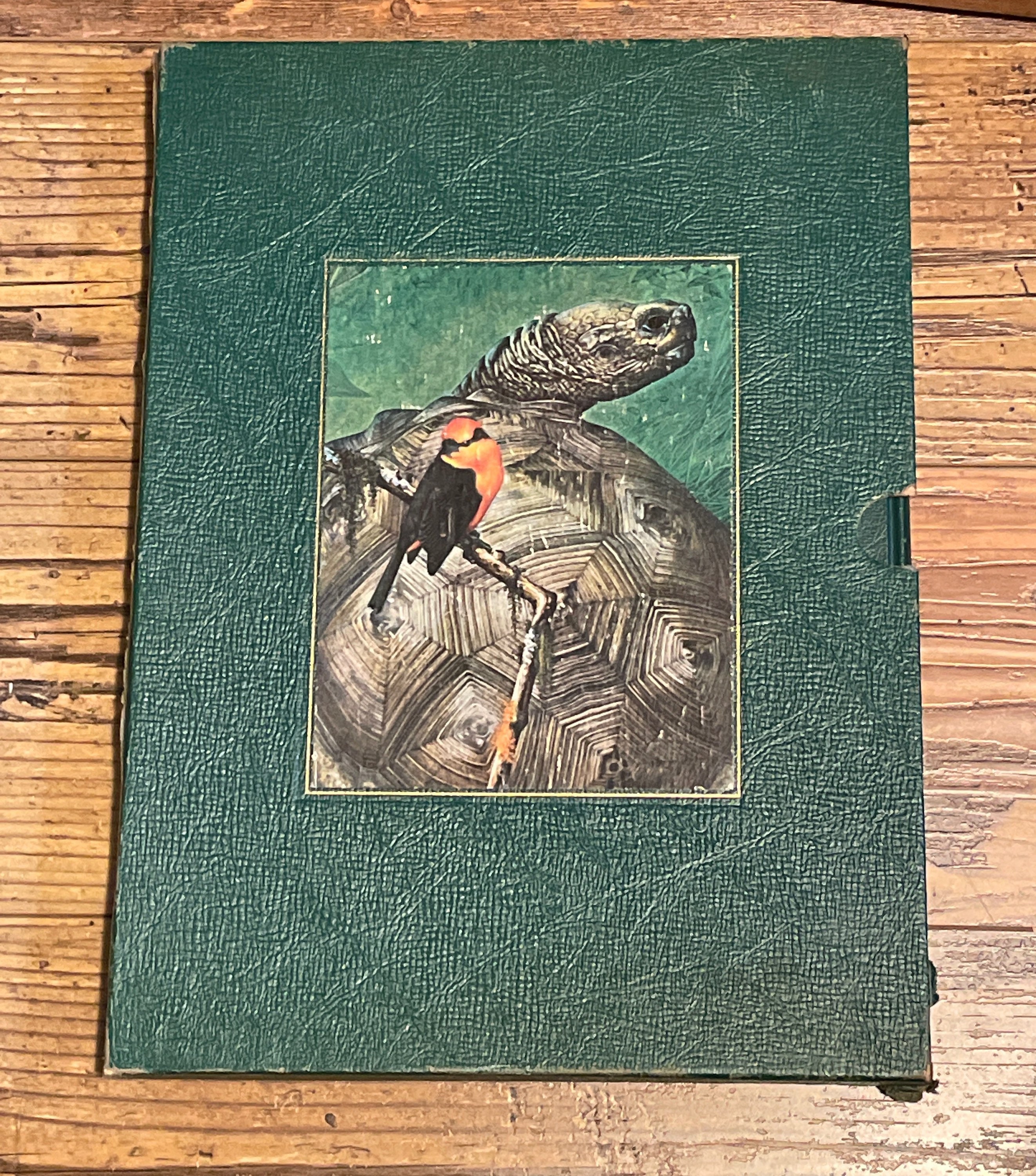 洋書 Life on Earth Life On Earth: David Attenborough: 9780006361848: Amazon.com