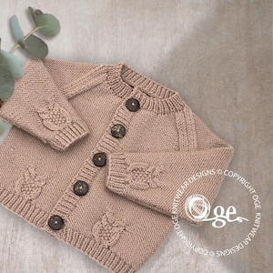 KNITTING PATTERN-Raglan sleeve cardigan with little owls - P079