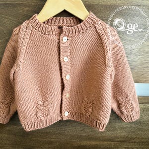 May include: A dusty rose knitted cardigan featuring a ribbed crew neckline, long sleeves, and a front button closure with five white buttons. The garment displays a textured owl motif pattern on the lower front and sleeves, hanging on a hanger.