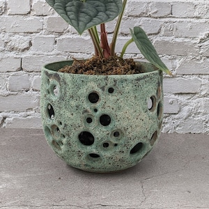 May include: A green ceramic planter with a unique, textured surface and multiple holes. The planter is filled with soil and a green leafy plant with red stems.
