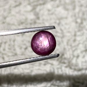 May include: A round, deep magenta star ruby gemstone held by silver-toned metal tweezers. The cabochon-cut stone displays a distinct six-rayed star effect across its polished, translucent surface, highlighting internal inclusions and deep red hues.