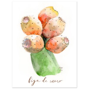Op de afbeelding: Een aquarelillustratie van een groen cactusblad met vijf vijgcactussen in tinten oranje, geel en rood. De vruchten hebben kleine donkere stippen die doornen voorstellen. De tekst "figa de moro" staat in bruine cursieve letters onderaan.