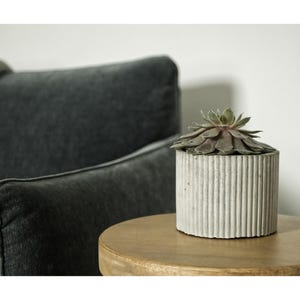 Handmade Scalloped Concrete Pot | Modern Fluted Succulent Planter | 2 Pack