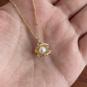 Pode incluir: Um colar de tom dourado com uma corrente delicada com pequenas contas espaçadas uniformemente e um pingente em forma de concha aberta. O pingente de concha é texturizado e contém uma pérola branca redonda.