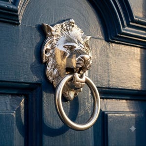 Könnte beinhalten: Ein polierter, silberfarbener Türklopfer aus Metall in Form eines Löwenkopfes mit einem kreisförmigen Ring im Maul. Der Löwe weist detaillierte Mähnenstrukturen und Gesichtszüge auf und ist fest auf einer dunkel marineblau lackierten Holztür montiert.