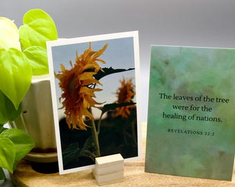Seasons Fine Art Photography Cards for Prayer and Reflection
