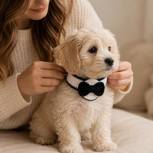 May include: A cream-colored puppy wearing a handmade crochet pet collar. The collar features a white band with black trim and a central black crochet bow tie attached to a white circular base. The accessory is designed to fit around the neck.