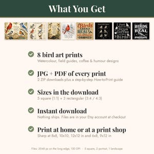 What you get with the birdwatching print bundle: 8 bird art prints, JPG and PDF of every print, 5 square and 3 rectangular files, instant download, print at home or at a print shop.