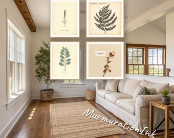 Vintage Botanical Herbarium Specimen Set | 4 Pressed Flower Prints (Digital Download)
