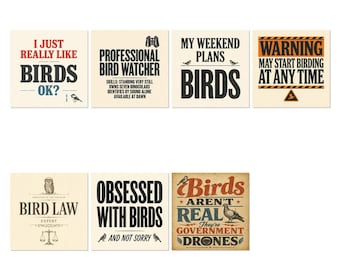 May include: A set of seven square prints featuring bird-themed text and illustrations. The designs include phrases like I JUST REALLY LIKE BIRDS OK?, PROFESSIONAL BIRD WATCHER, MY WEEKEND PLANS BIRDS, WARNING MAY START BIRDING AT ANY TIME, BIRD LAW EXPERT, OBSESSED WITH BIRDS AND NOT SORRY, and BIRDS AREN'T REAL THEY'RE GOVERNMENT DRONES.