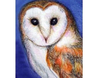 Barn Owl Limited Edition ACEO ATC Print Original Colored Pencil Bird Artwork Miniature Print Wildlife Nature Art