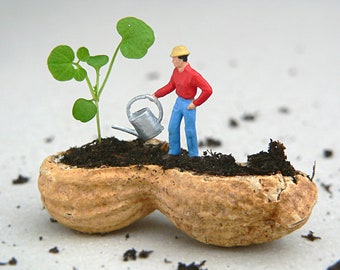 Miniversum – Foto auf Holz