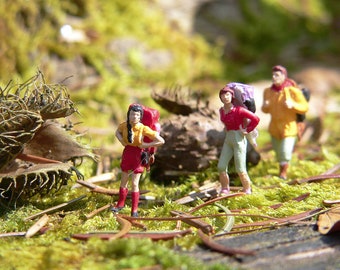 Kleine Waldläufer – Foto auf Holz