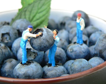 Blaumänner – Foto auf Holz