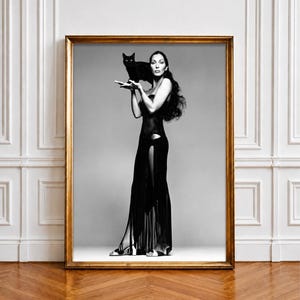 Cher Poster - Etsy