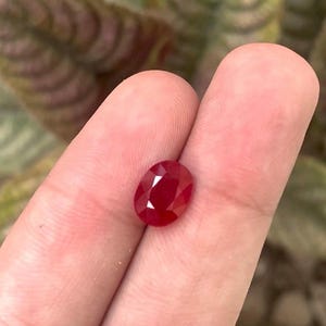 Naturlig rubinkorund 3,16 karat | Sällsynt Moçambique Samlarpärla