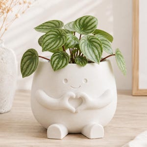 May include: A white ceramic planter shaped like a rounded figure with small feet and arms forming a heart shape in front of its chest. The planter features a simple engraved face with two circular eyes and a curved mouth, holding a Peperomia plant.