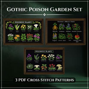 Puede incluir: Tres patrones de punto de cruz titulados Gothic Poison Garden Set, con fondos negros e ilustraciones pixeladas coloridas de varias plantas venenosas, etiquetadas con nombres como Aconite, Mandrake y Belladonna en texto blanco.