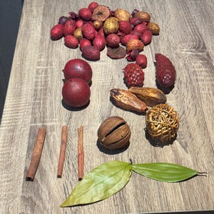 May include: A collection of potpourri items including red and brown dried seed pods, small round red spheres, three cinnamon sticks, a woven rattan ball, and two green leaves. The assortment features various textures and natural shapes.