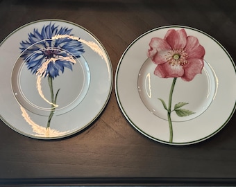 Vintage Villeroy & Boch "Flora" Salad Plates - Set of 2 Cornflower and Wild Rose