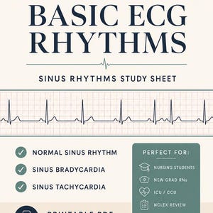 May include: A clinical study sheet titled BASIC ECG RHYTHMS SINUS RHYTHMS STUDY SHEET. It features a cardiac rhythm strip, a list of rhythms including Normal Sinus Rhythm, Sinus Bradycardia, and Sinus Tachycardia, and a section for nursing students.