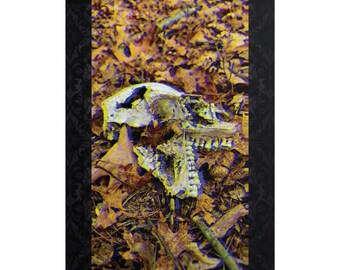 Neon Afterlife Gothic Skull Poster | Dark Academia Wall Art, Psychedelic Print