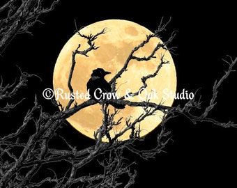 Crow against Full Moon Black Cream Bird Wall Decor Matted Picture Art Photo Art A366