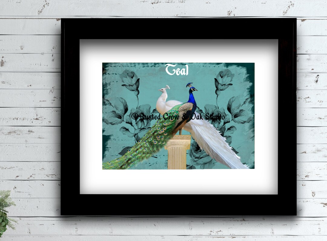  White Pecock Art Poster Canvas Prints Wall Art For Home Office  Decorations With Framed 13x8: Posters & Prints