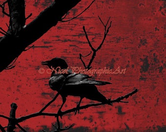 Raven Red Rust Industrial Crow Wall Art Bird On Tree Branch Home Decor Matted Picture Art Print A673