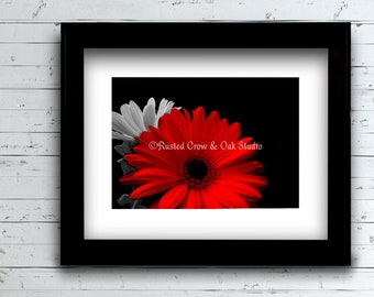 ROSSO Gerbera Margherita Fiore Bianco e nero floreale Decorazione della casa Immagine Arte fotografica Download immediato A740
