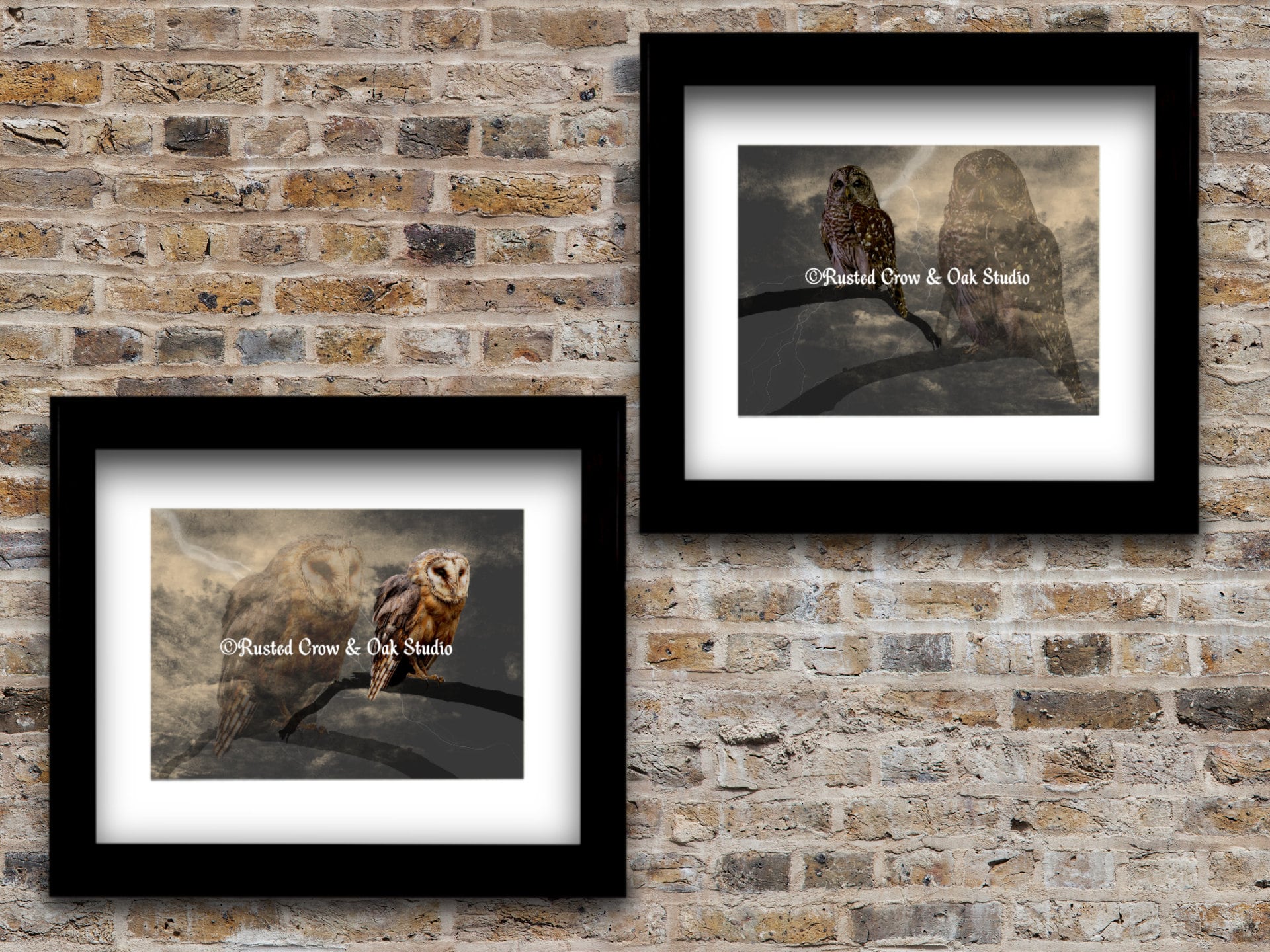 Set of 2 Art Prints Rustic Owl Double Exposure Country Art Matted Picture A320