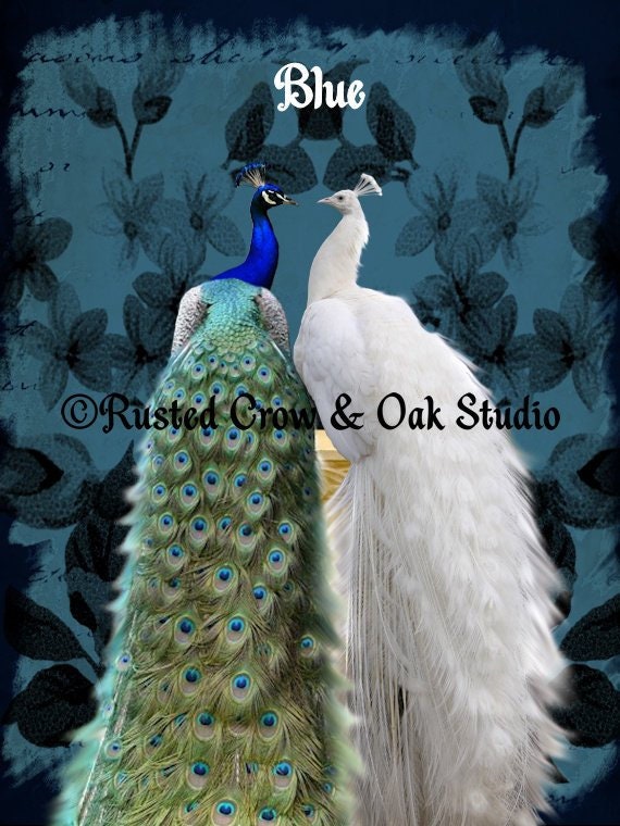 White Peacock Blue Peacock Bird Pair Home Decor Wall Art Etsy