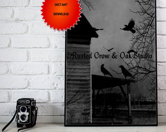 Rustic Black Birds Crows on Abandoned House Porch Black and White Art Digital Download A605